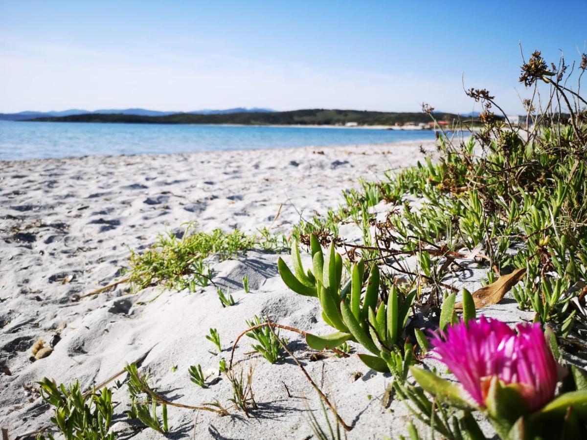 Insardinia House Trilocale A 200Mt Dalla Spiaggia Olbia Luaran gambar